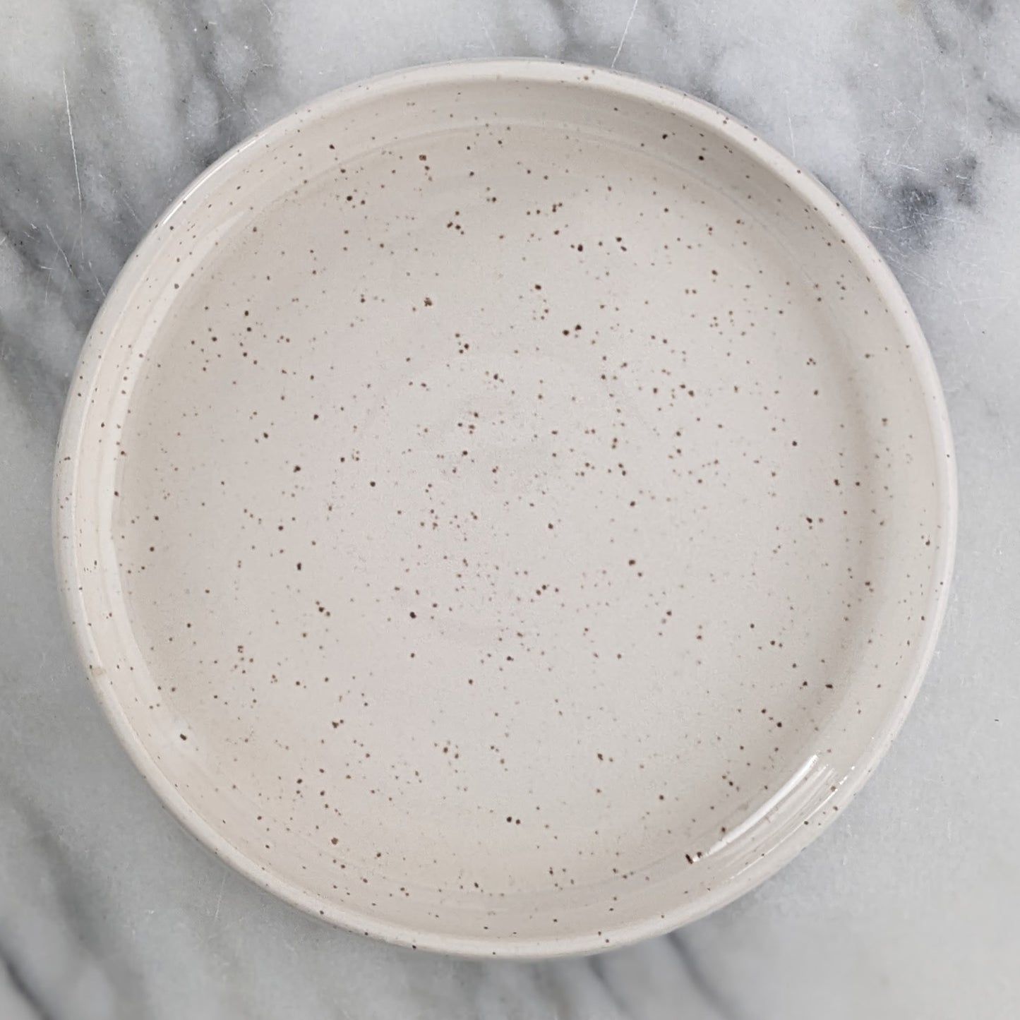 White Speckled Tray